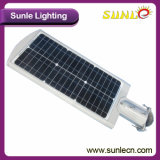 Solar Outdoor Lighting, Solar LED Garden Light with Best Price