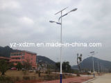6m 40W LED Q235 Steel Double Arms Solar Street Lights