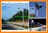 20W 30W 60W 80W Solar Cell LED Street Light