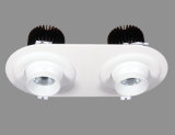 New Design High Power Round LED Ceiling Down Light with Double Head (S-D0030-D)