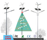 American Market Wind Solar Hybrid LED Street Light (BDTYN2-4)