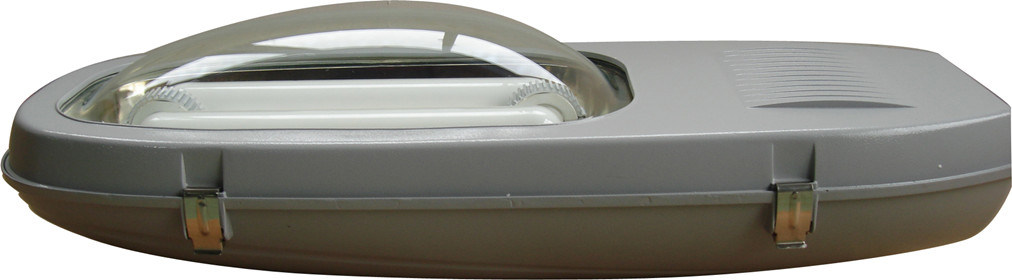 Energy Saving Lamp and Induction Lamp of LED Street Light
