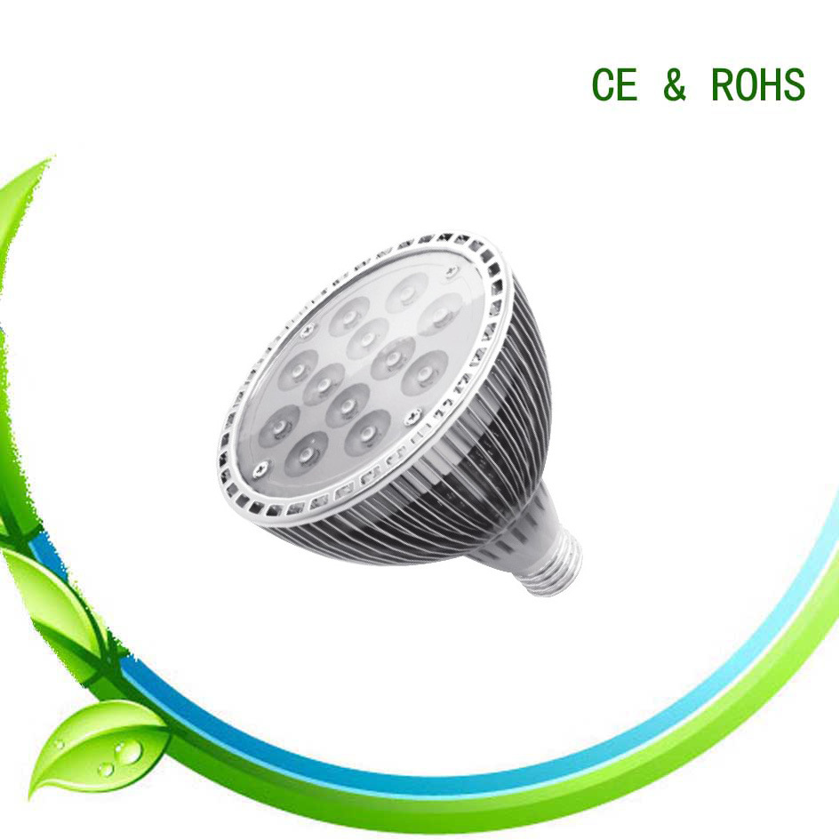 12W High-Power LED Spotlight (LS-dB-005-12W)