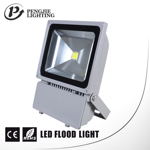 High Power COB LED Spotlight for Outdoor (PJ1080)