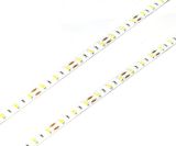 Economic Types 60LEDs/M SMD5630 LED Strip 10mm 12V