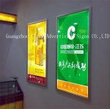 Aluminum LED Slim Light Box