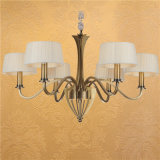 Antique Design Iron Pendant Lamp Chandelier (SL2110-6)