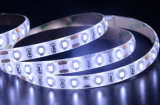 Modern Design Home Decoration SMD2835 LED Tape Lights