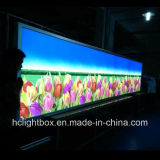 LED Snap Frame Backlit Sign LED Backlit Light Box