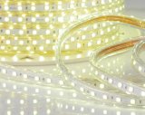 Garden Decoration AC110V LED Strip Light LED