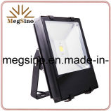 LED Flood Light