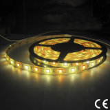 RGBW SMD 5050 3528 LED Strip Light for Outdoor