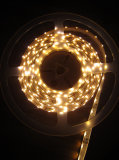 LED 335 Emitting Strip Light (XL-335-Warm white)