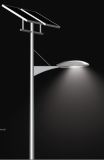 . Professional. Competitive Solar LED Street Light